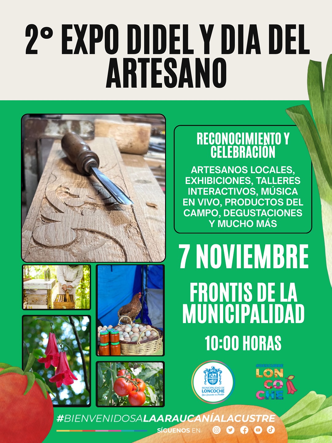 Lee más sobre el artículo ¡Loncoche vibra con la Expo DIDEL 2025!