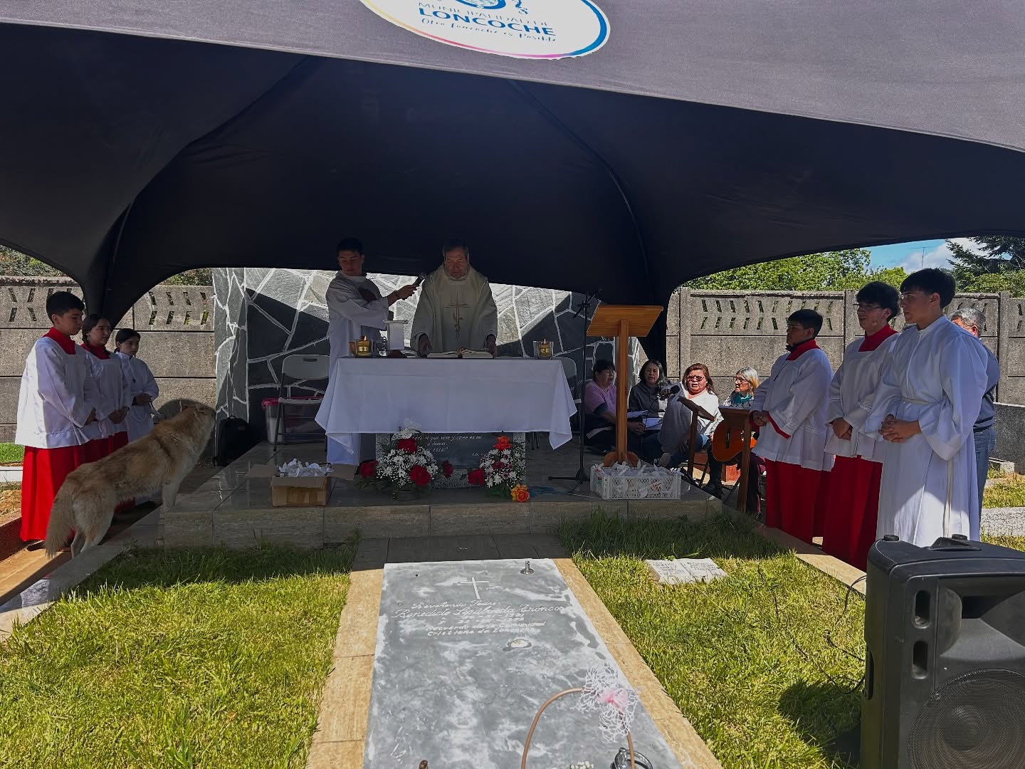 Lee más sobre el artículo Solemnidad del Día de Todos los Santos: Loncoche honra con fe y memoria a sus seres queridos