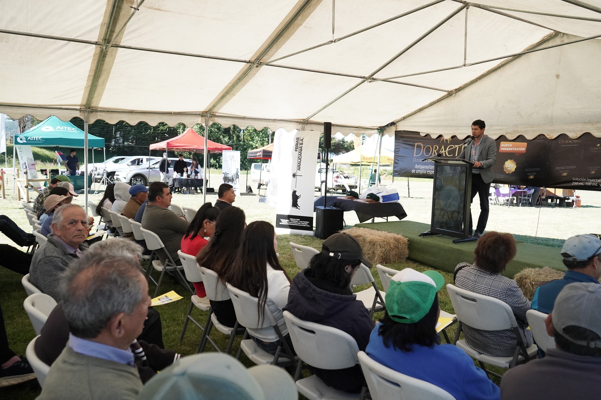 Lee más sobre el artículo PDTI realiza 2° Seminario Ganadero Bovino en Loncoche 2025