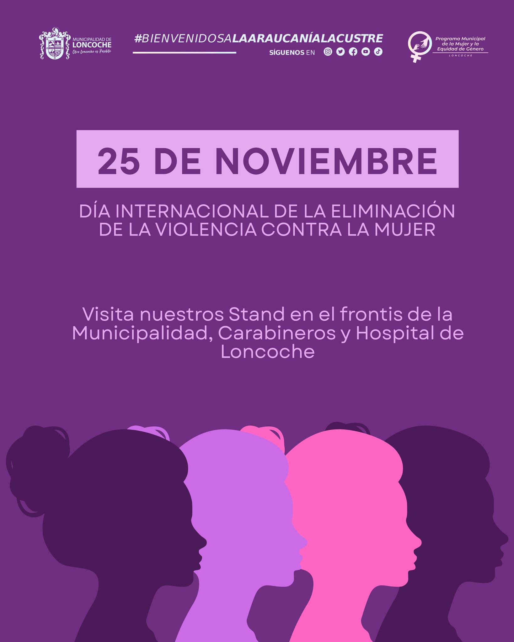 Lee más sobre el artículo Día Internacional de la Eliminación de la Violencia contra la Mujer