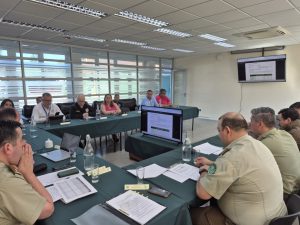 Lee más sobre el artículo REUNIÓN STOP EN VILLARRICA