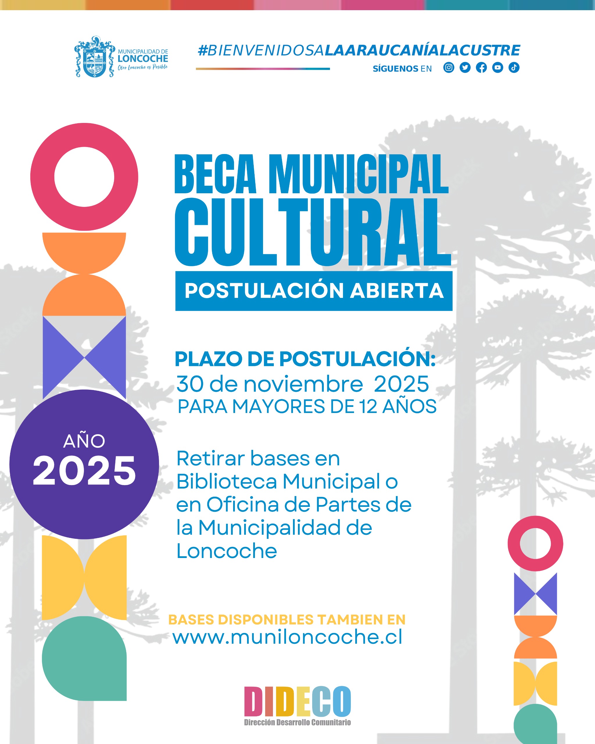 Lee más sobre el artículo Municipalidad de Loncoche entrega por primera vez Becas de Cultura 2025