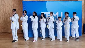 Lee más sobre el artículo 🥋 Resultados Combat Kids 2025 – Taller Municipal de Loncoche
