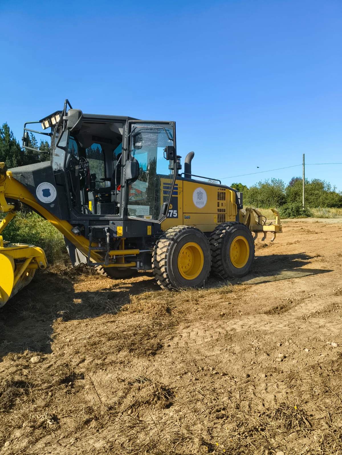 Lee más sobre el artículo Avanzan trabajos de cortafuegos en Loncoche