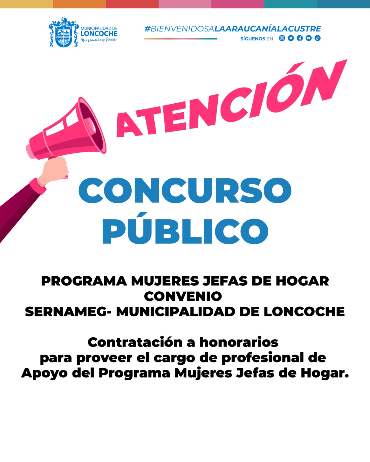 En este momento estás viendo BASES LLAMADO A CONCURSO PÚBLICO PROGRAMA MUJERES JEFAS DE HOGAR AÑO 2026 .