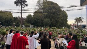 Lee más sobre el artículo CEREMONIA DE DOMINGO DE RAMOS