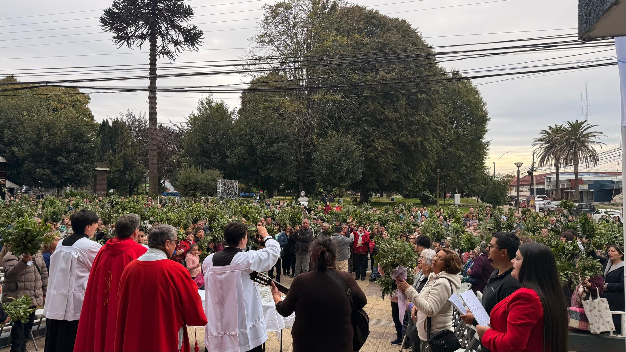 Lee más sobre el artículo CEREMONIA DE DOMINGO DE RAMOS