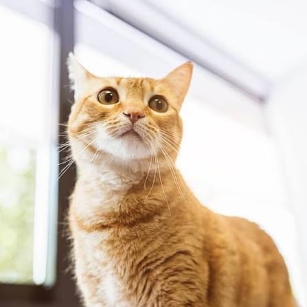 En este momento estás viendo ¡Atención vecinos y vecinas!