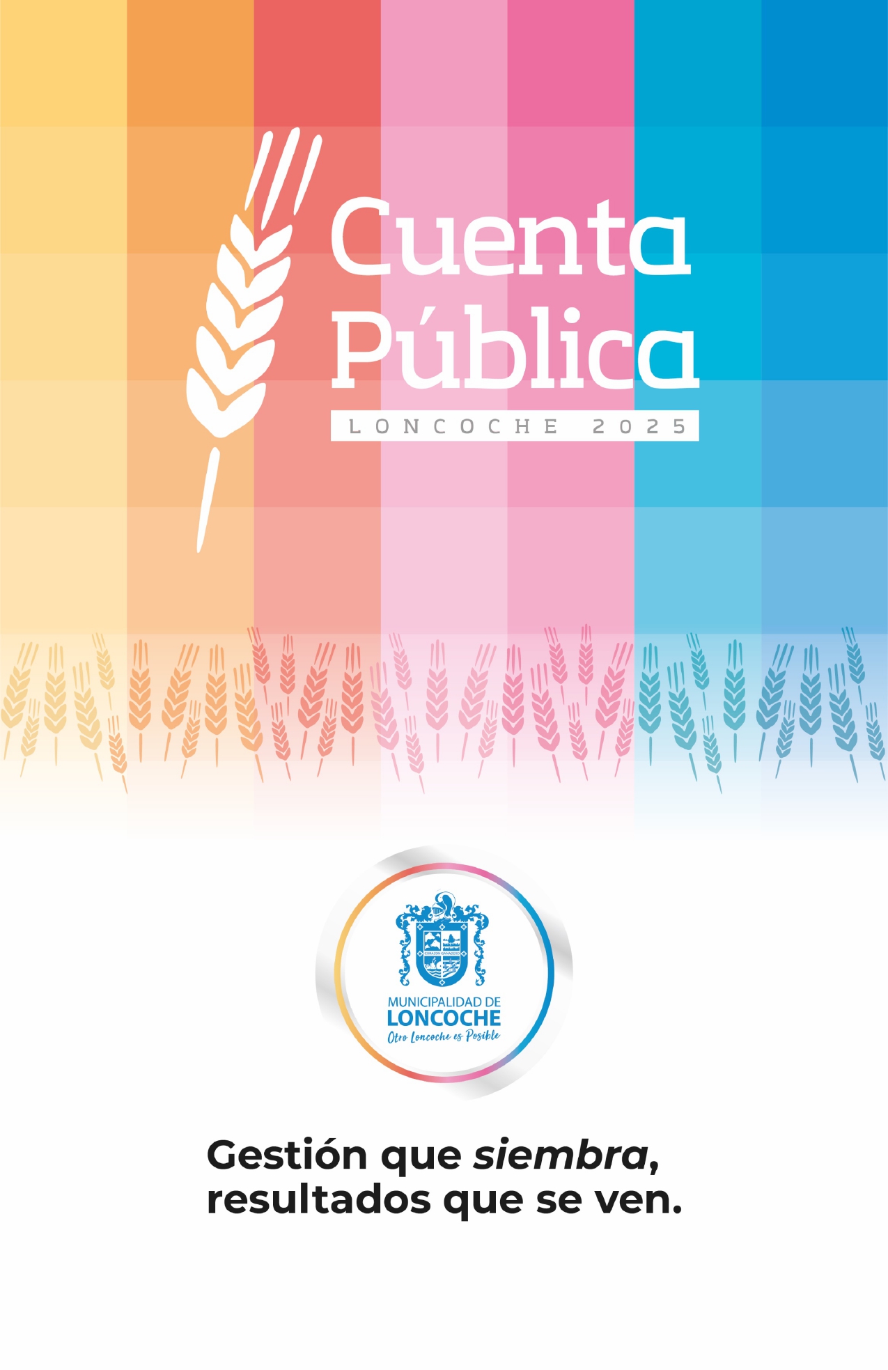 En este momento estás viendo CUENTA PÚBLICA 2025