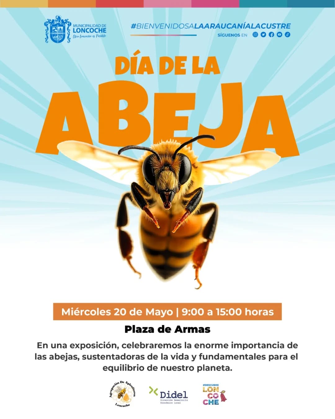 En este momento estás viendo DÍA MUNDIAL DE LAS ABEJAS