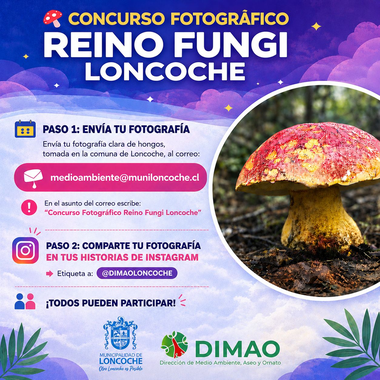 En este momento estás viendo ¡CONCURSO FOTOGRÁFICO “REINO FUNGI LONCOCHE!