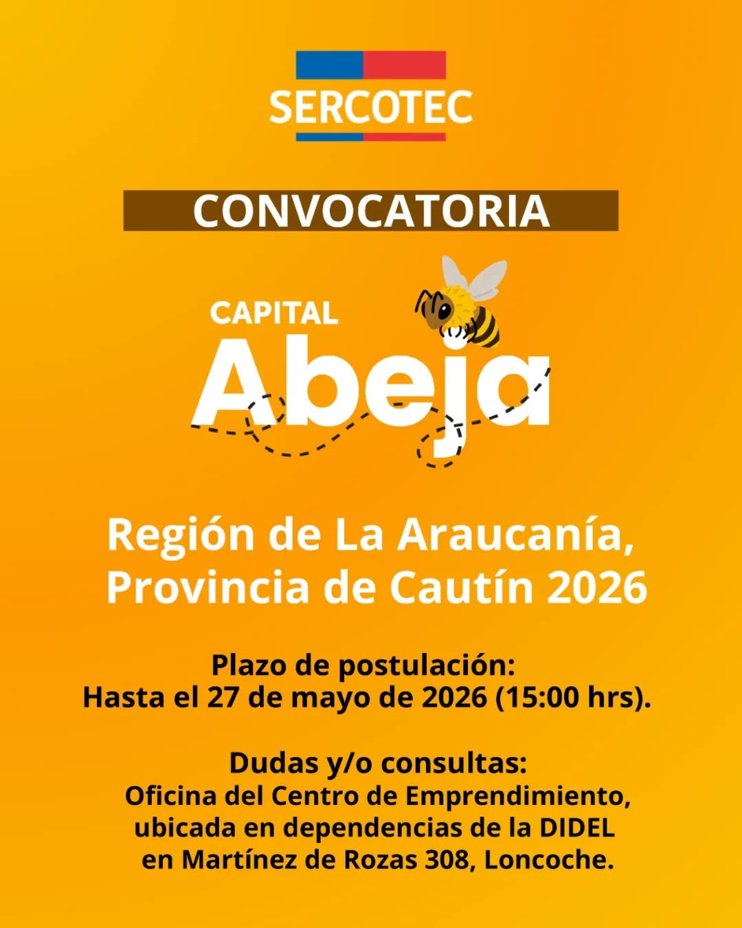 En este momento estás viendo ¡ATENCIÓN EMPRENDEDORAS DE LONCOCHE!
