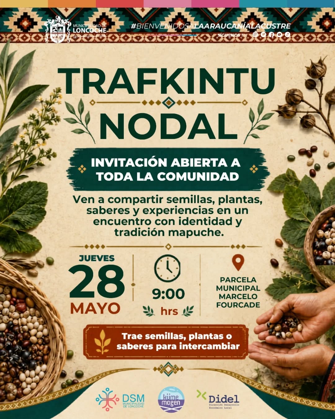 Lee más sobre el artículo TRAFKINTU NODAL – INTERCAMBIO DE PLANTAS, SABERES Y SEMILLAS