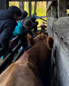 Lee más sobre el artículo KOVET APOYA A PEQUEÑOS AGRICULTORES DE LONCOCHE