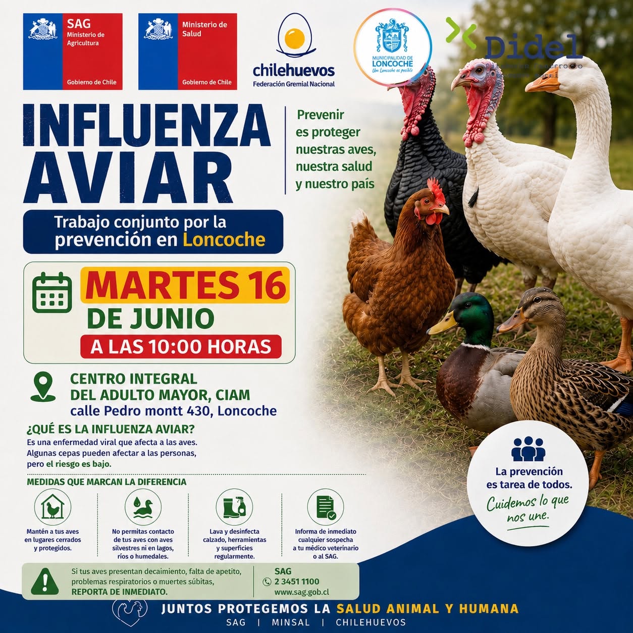 En este momento estás viendo CHARLA INFORMATIVA SOBRE PREVENCIÓN DE INFLUENZA AVIAR EN LONCOCHE