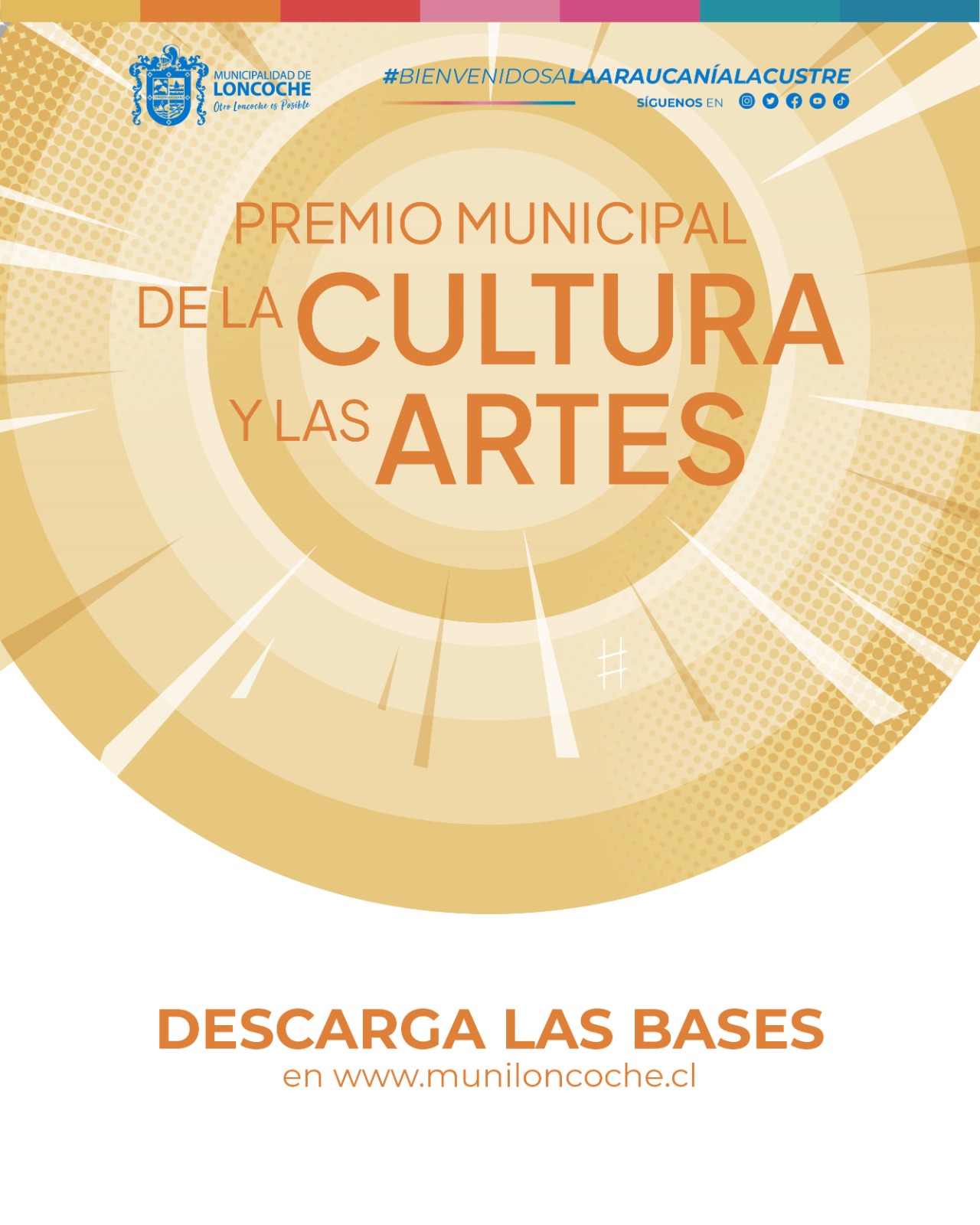 En este momento estás viendo PREMIO MUNICIPAL DE LA CULTURA Y LAS ARTES LONCOCHE 2026