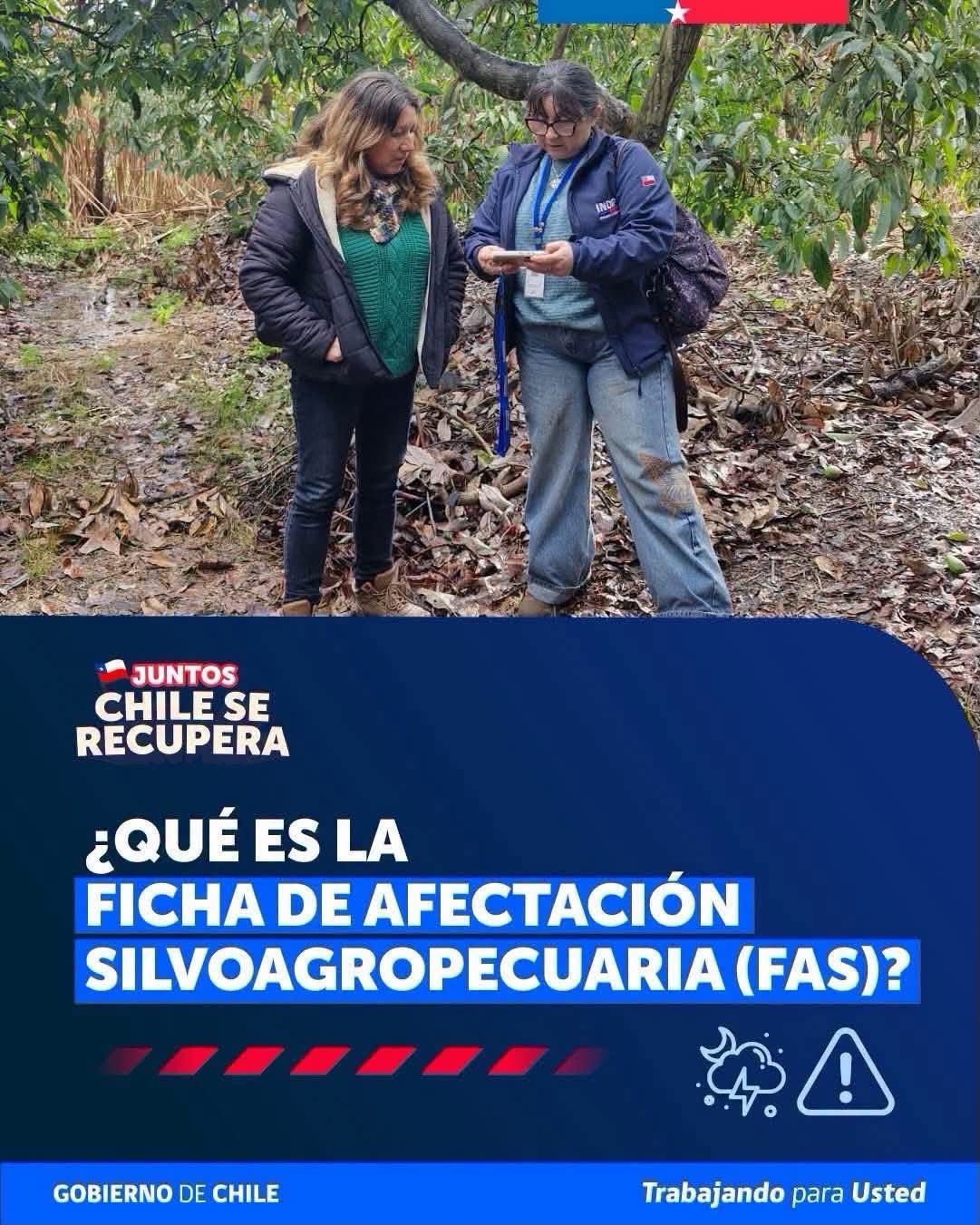 En este momento estás viendo SI FUISTE AFECTADO POR LA EMERGENCIA AGRÍCOLA, REALIZA TU FICHA DE AFECTACIÓN SILVOAGROPECUARIA (FAS)