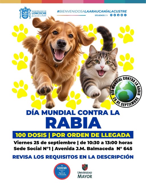 En este momento estás viendo MUNICIPALIDAD DE LONCOCHE Y SEREMI DE SALUD REALIZARÁN OPERATIVO GRATUITO DE VACUNACIÓN ANTIRRÁBICA