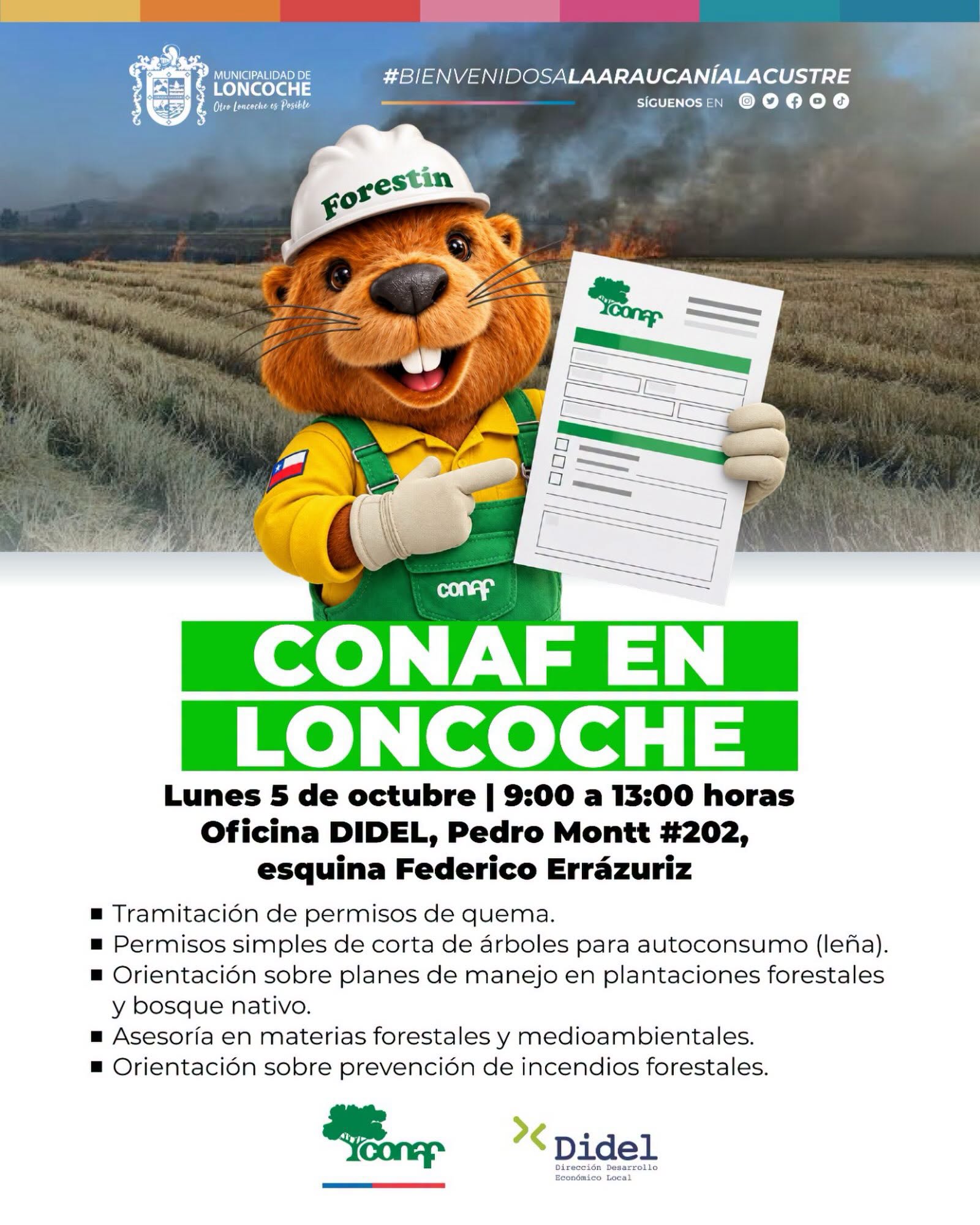 En este momento estás viendo CONAF REALIZARÁ ATENCIÓN EN TERRENO PARA VECINOS Y VECINAS DE LONCOCHE
