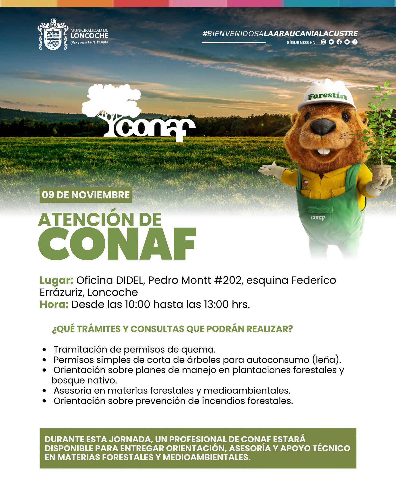 En este momento estás viendo CONAF REALIZARÁ NUEVA JORNADA DE ATENCIÓN EN LONCOCHE EL PRÓXIMO 09 DE NOVIEMBRE