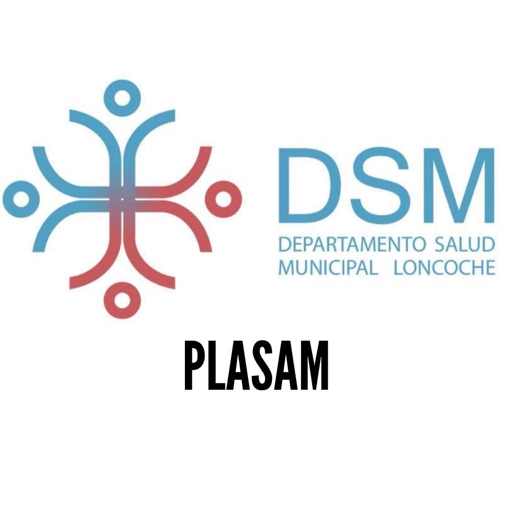 plan de desarrollo comunitario (2)